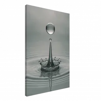 Crown of Silence Water Drop Canvas
