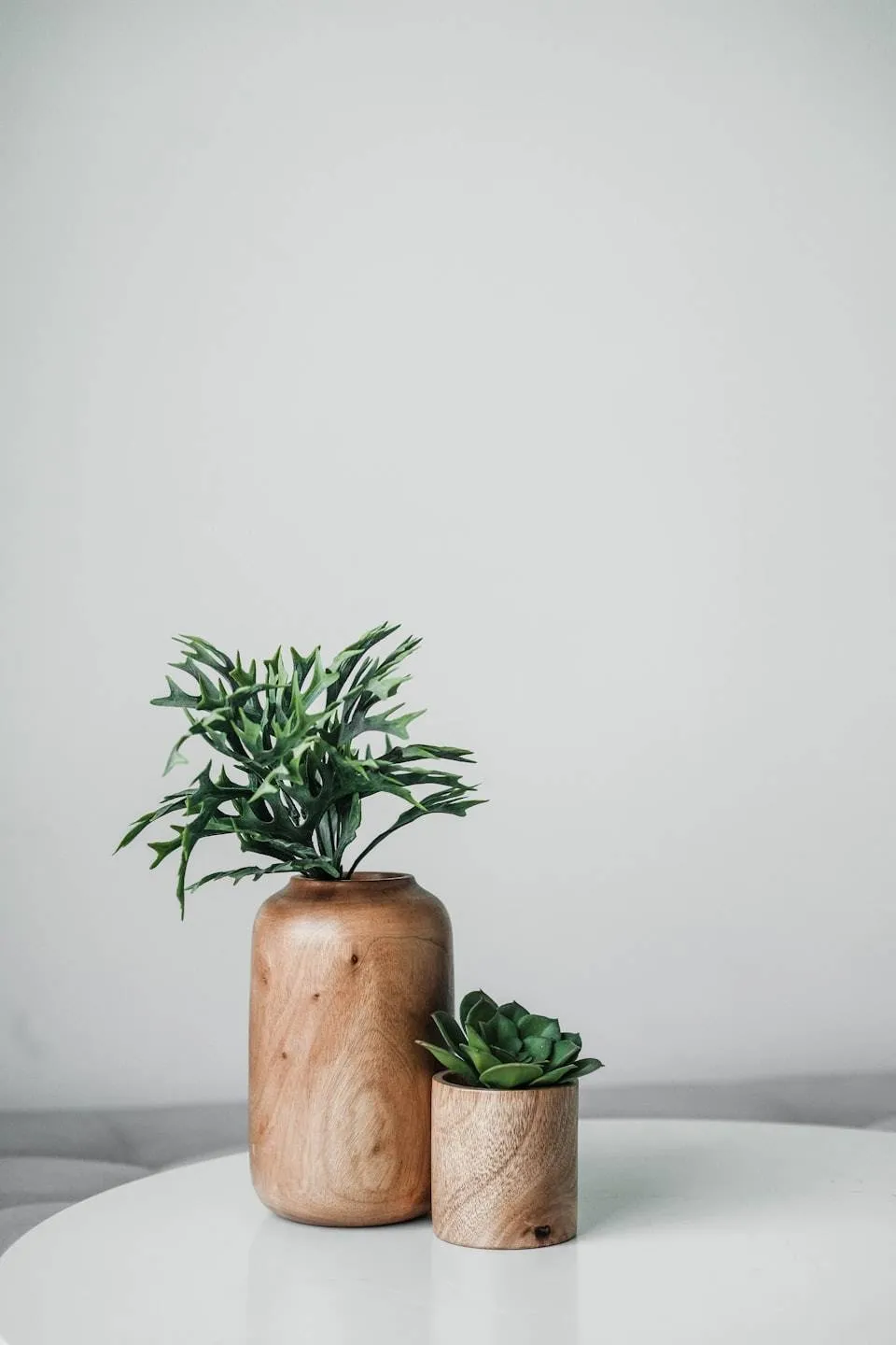 Potted succulent plant in a wooden vase on a table against a neutral wall.