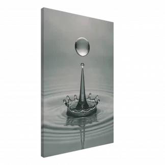 Crown of Silence Water Drop Canvas