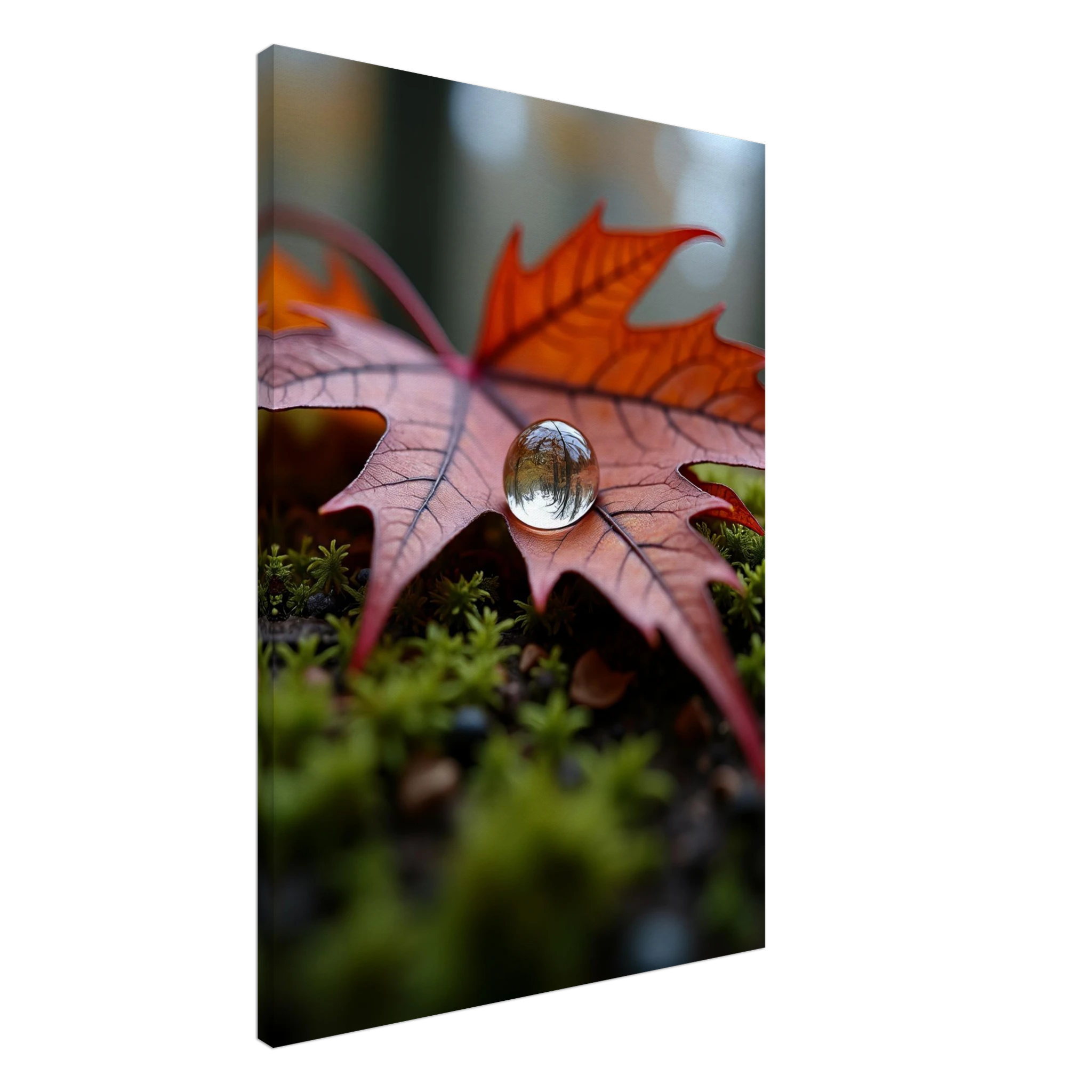 Whisper of the Fallen Maple