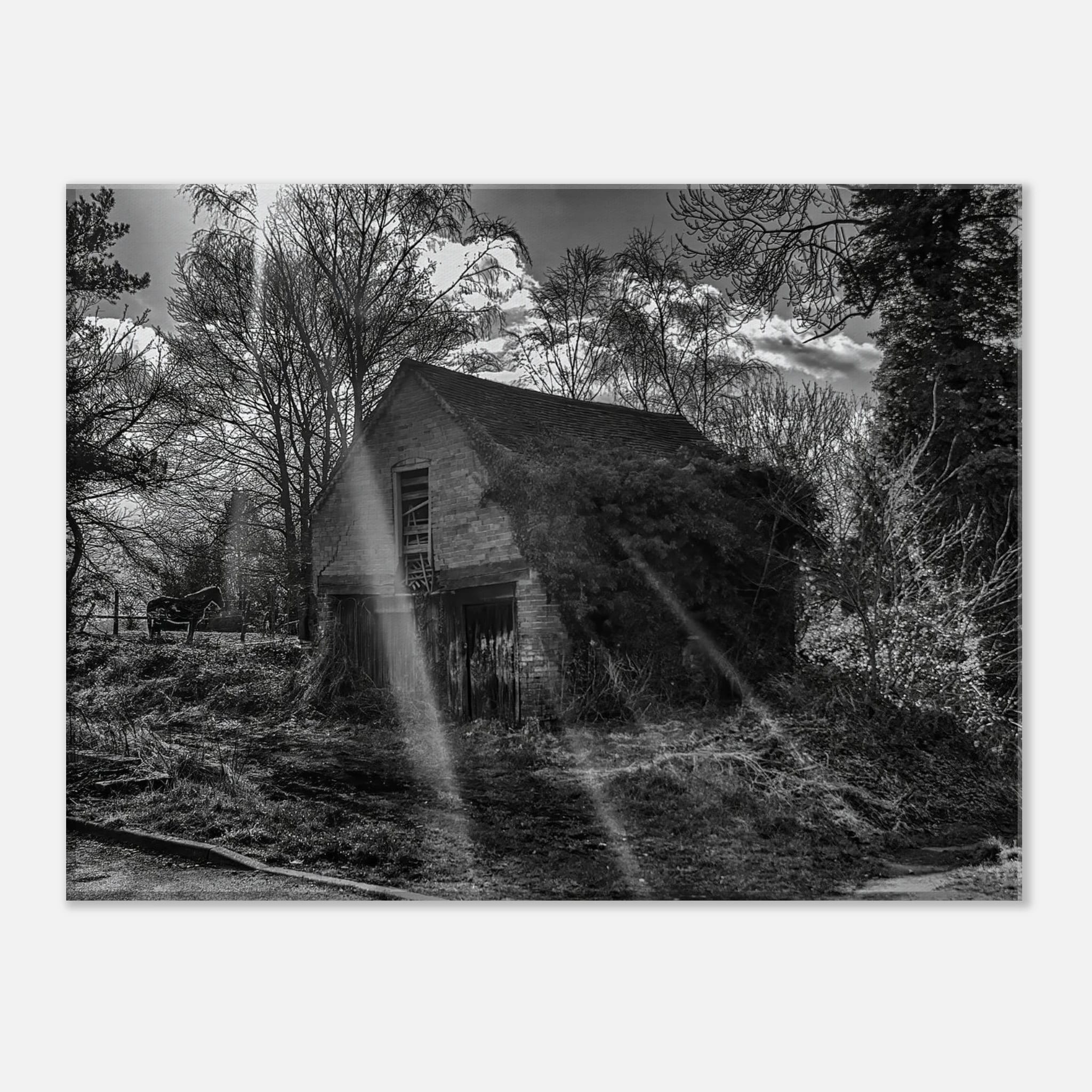 The Forgotten Outbuilding – Black and White Rural Photography Canvas Wall Art