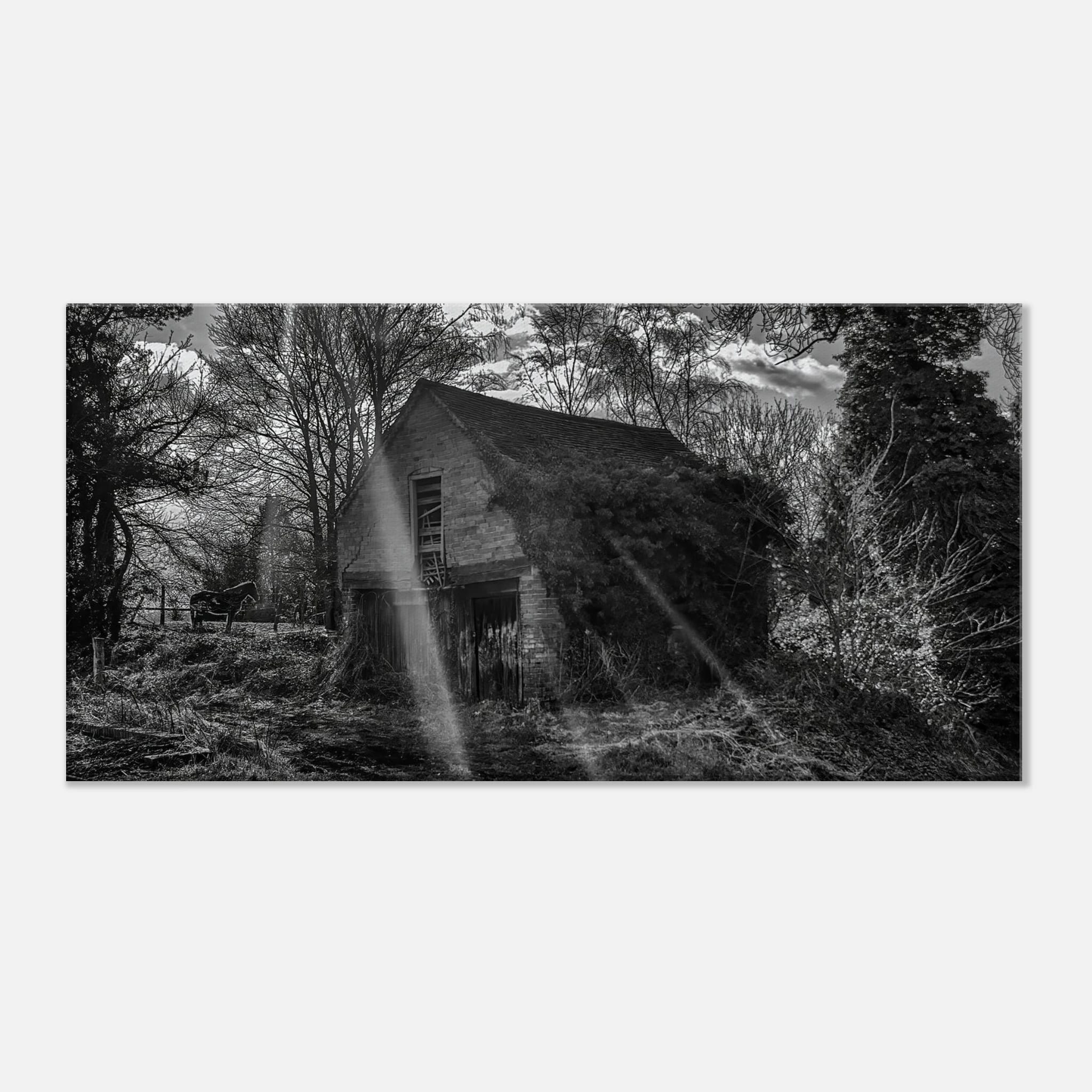 The Forgotten Outbuilding – Black and White Rural Photography Canvas Wall Art