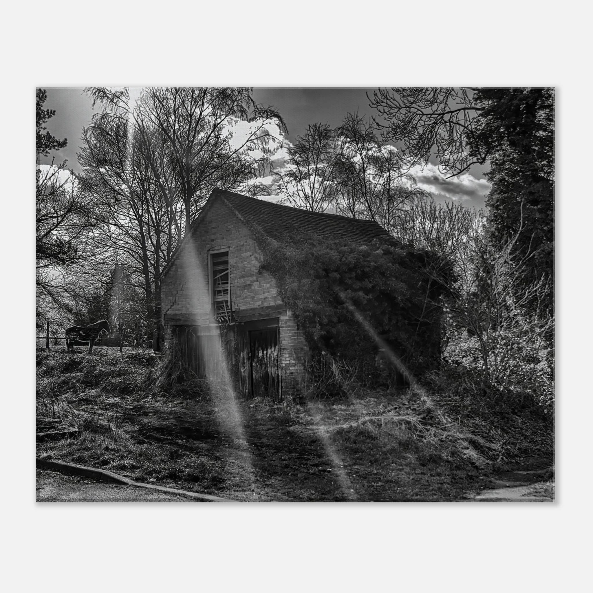 The Forgotten Outbuilding – Black and White Rural Photography Canvas Wall Art